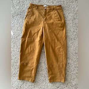 Everlane Utility Barrel Pant size 10